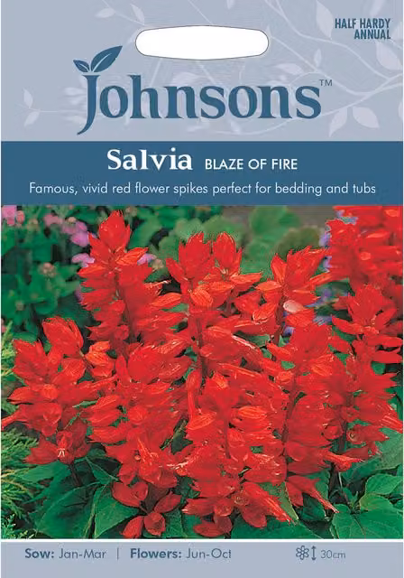 Johnsons Blaze Of Fire Salvia Red Ornamental Flower Seeds