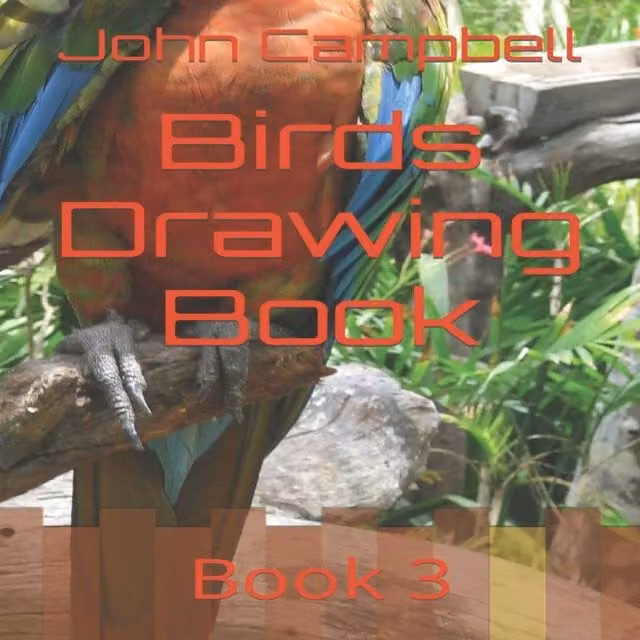 John Campbell Birds Drawing Book 3 Multicolour Paperback