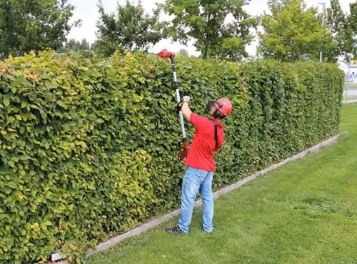 Einhell Power X-Change 18V Cordless Long Reach Reciprocating Hedge Trimmer in Red and Black – 2