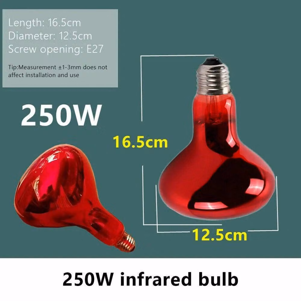 NESTLUNE Ruby 250w Infrared Heat Lamp and Bulb in Silver – 3
