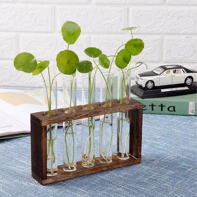 Lifeideas 5-Piece Modern Glass Vases with Wooden Base in Transparent and Brown