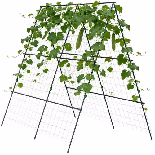 Outsunny Green A-Frame Trellis Plant Support for Vegetables and Flowers, W: 100 cm, D: 100 cm, H: 180 cm – 1