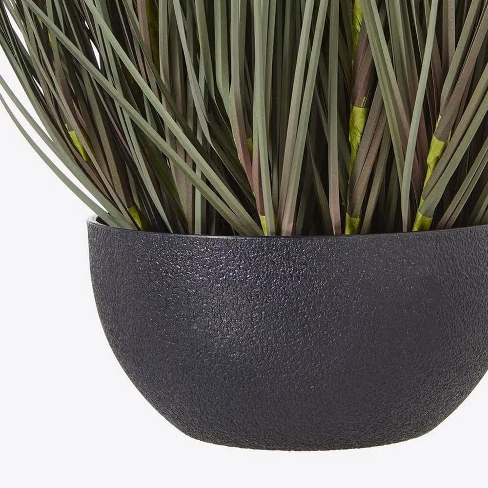 Lemon Pavilion Furniture and Decor Large Potted Fountain Grass Plant in Green and Black Plastic, Height: 81 cm – 4