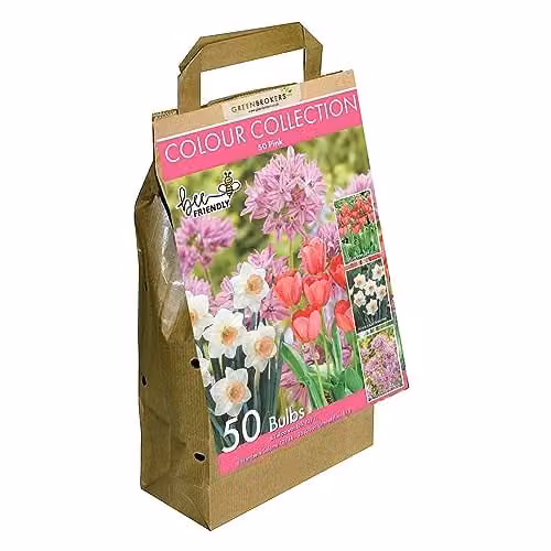 GreenBrokers Colour Collection Pink Spring Flower Bulbs, 50 g