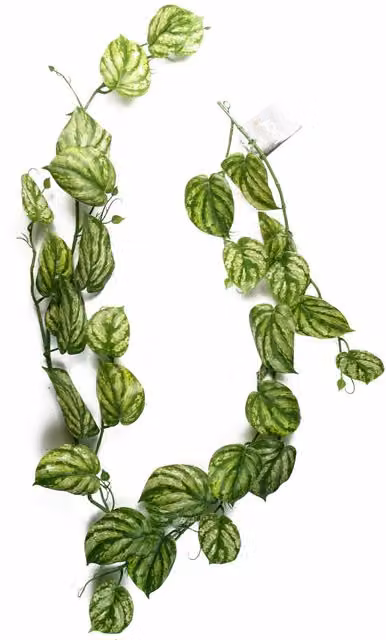 Realistic Artificial Hanging Devil's Ivy Trailing Plant in Green