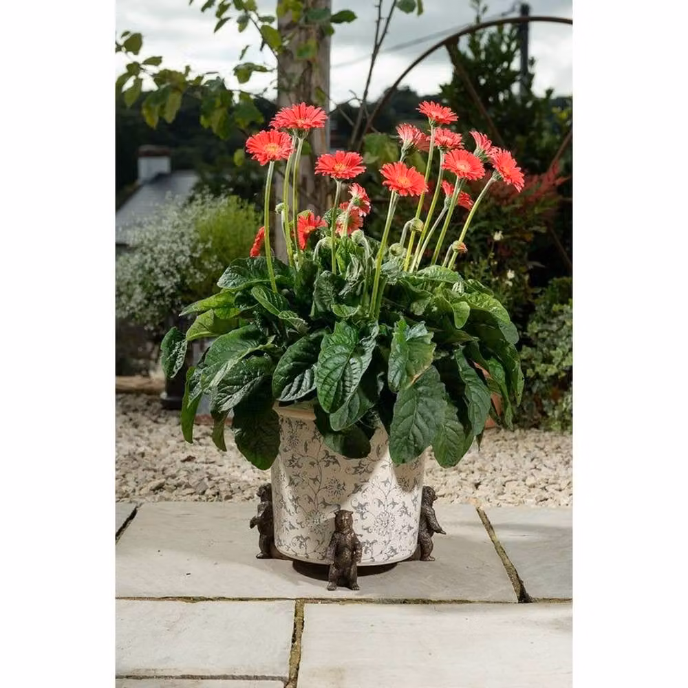 Jardinopia Grizzly Bear Plant Pot Feet, Bronze, Set of 3, L9.5 x W5 x H11.5 cm – 3