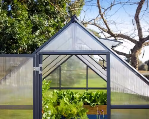 Palram Canopia Mythos 6x10 Greenhouse with UV-Protected Polycarbonate Roof, Aluminium Frame and Base Frame, Grey – 4