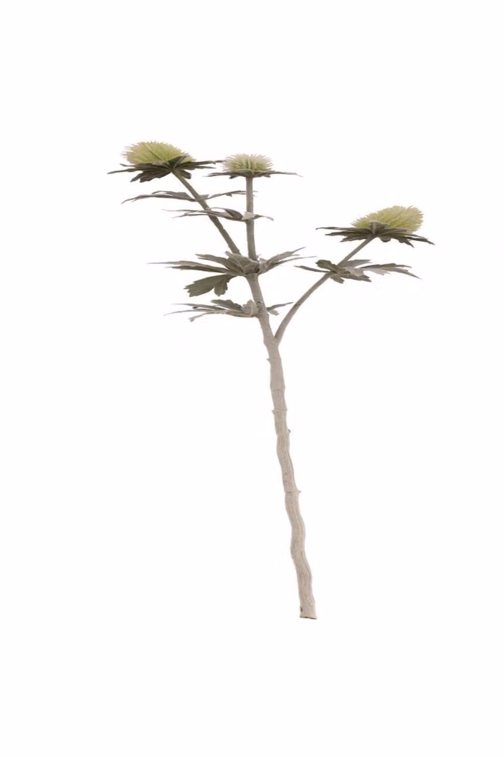 KDMD Green Thistle Spray 2 Pack with 3 Heads – 3