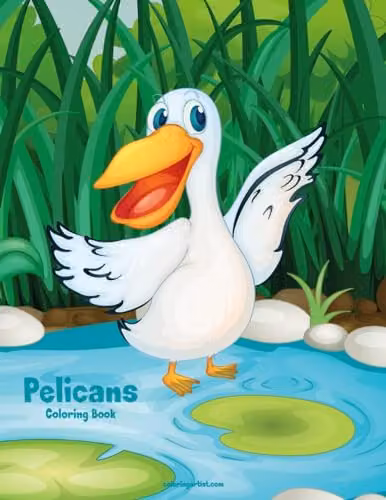 Pelicans Coloring Book 1: Volume 1 Multicolour Childrens Paper Book