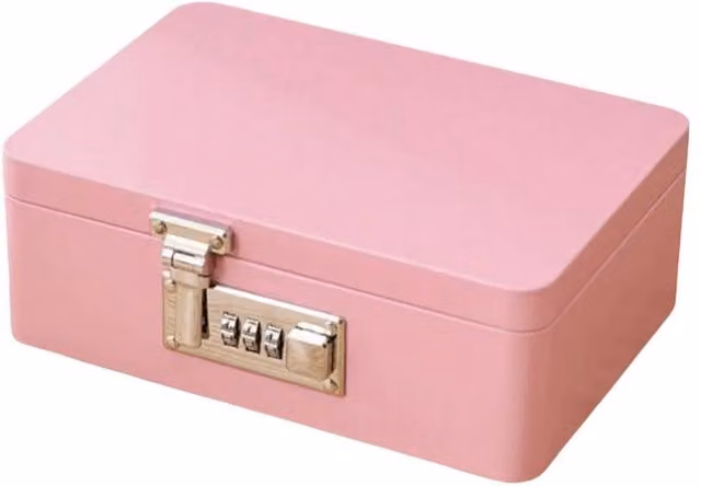 FLAVORA Pink Metal Combination Lock Storage Box with Flip Top Lid