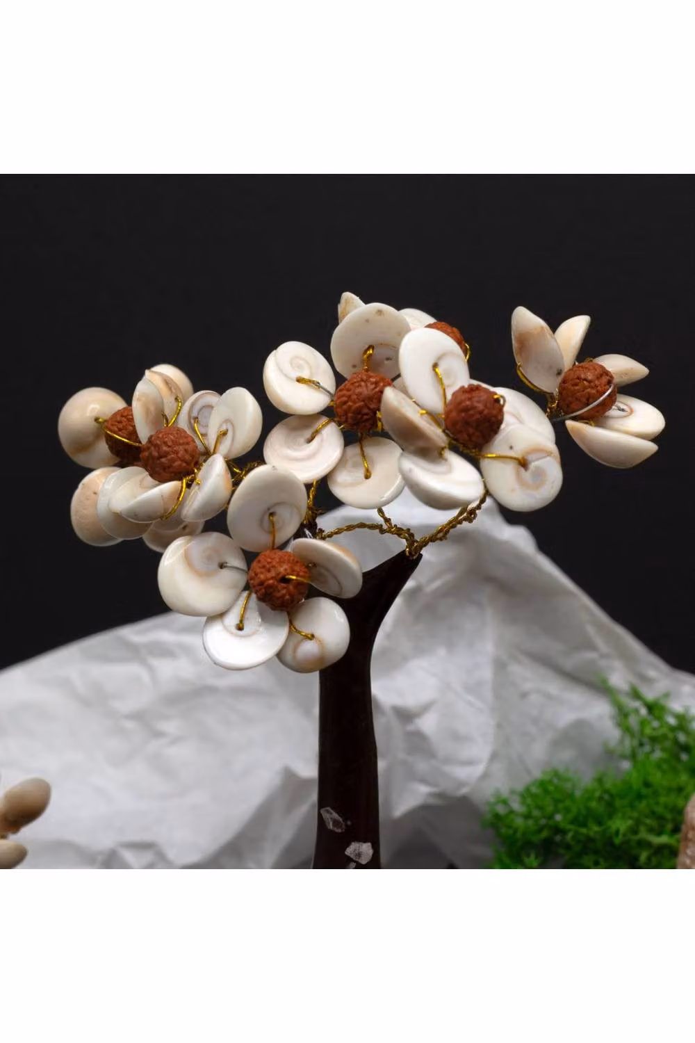 KDMD Medium White Gomati Chakra Tree with 45 Rudraksha Stones for Meditation – 2