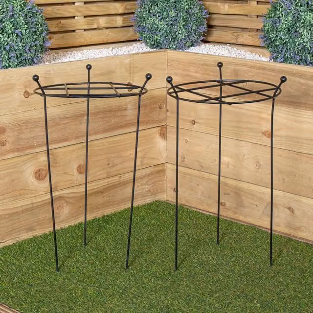 Tom Chambers Cottage Heavy Duty Black Steel Herbaceous Garden Plant Support, Pack of 2, W/D/H: 60 x 35 cm – 1