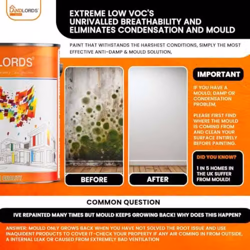 Landlords Mould Resistant Water Based Kitchen and Bathroom Emulsion Paint, Light Yellow, 1 l – 5