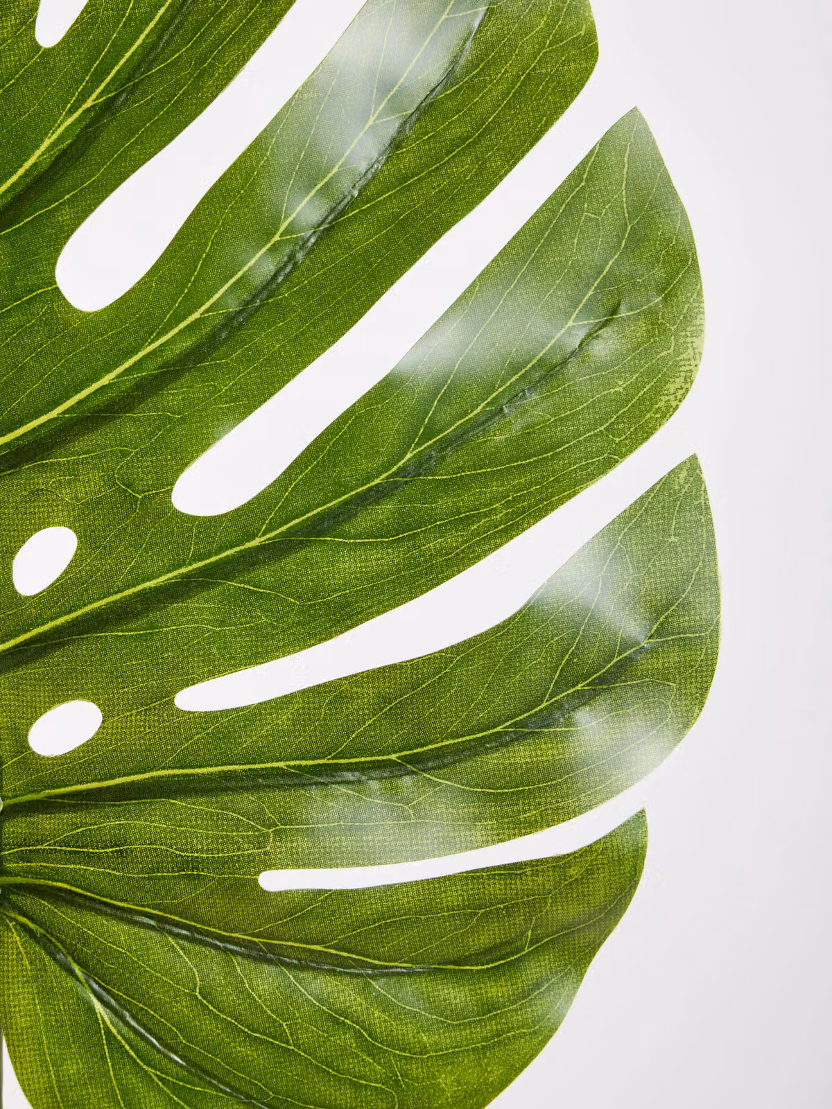Orsina Green Monstera Palm Stem, Height: 109 cm – 3