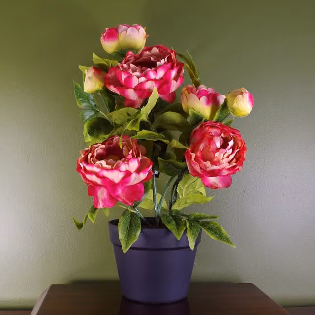 Pink Artificial Peony Flowering Plant in Black Pot, H 18.0 cm x W 14.0 cm x D 14.0 cm