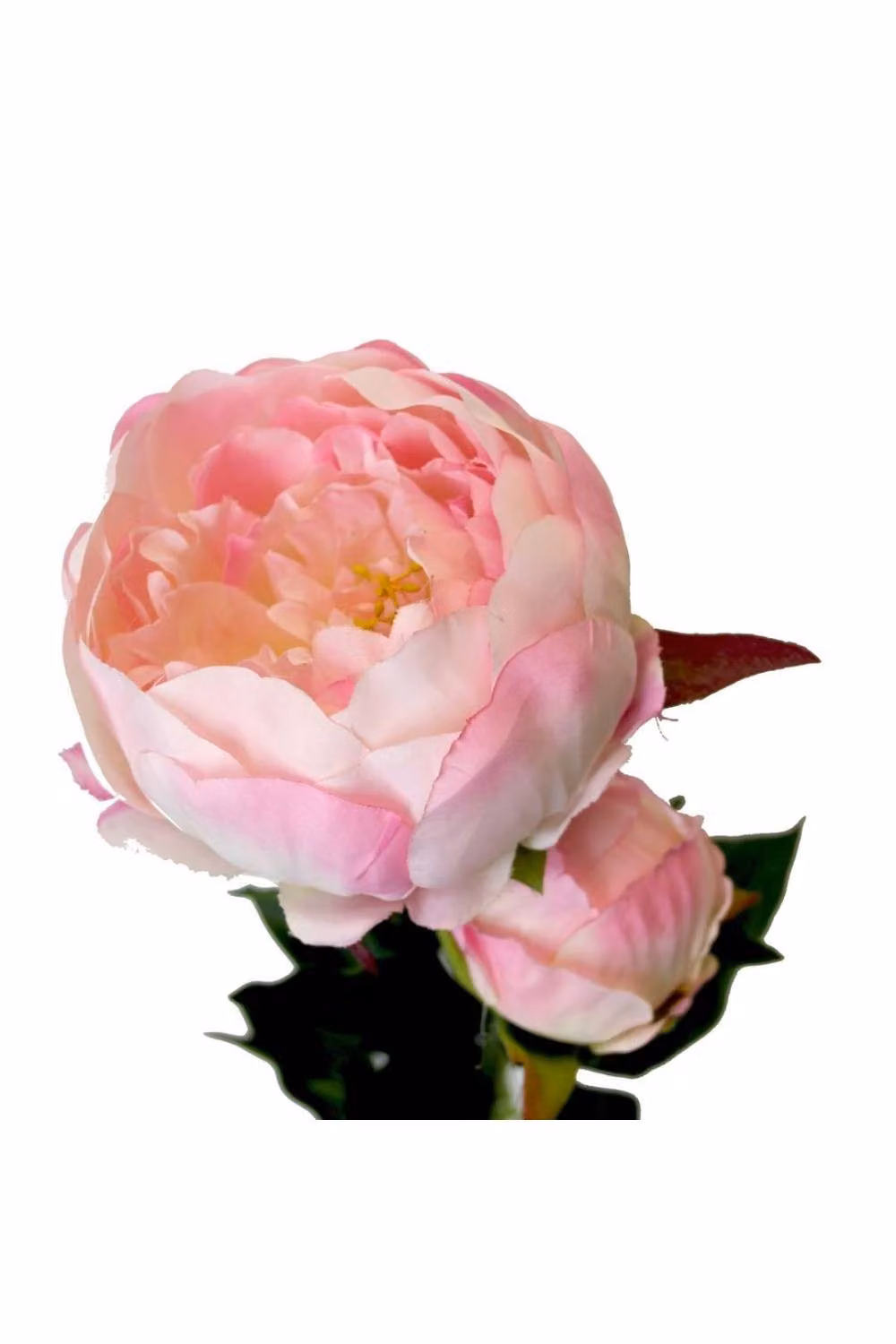 KDMD Pink Peony Artificial Flowers, Height: 78 cm – 2