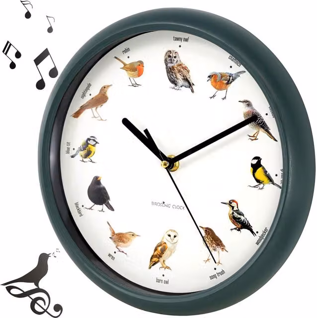 GEEZY Singing Bird Wall Clock with Native Sounds in Green