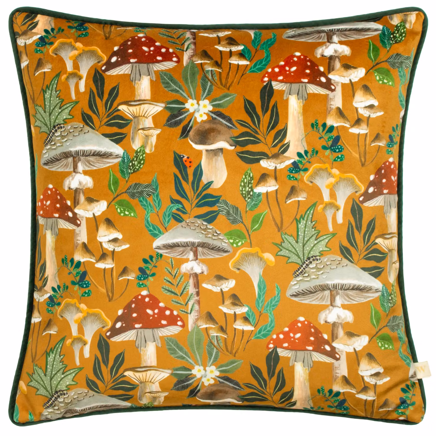 Wylder Nature Wild Garden Floral Velvet Cushion, Multicolour and Grey, W/D/H: 43 x 43 x 43 cm – 2