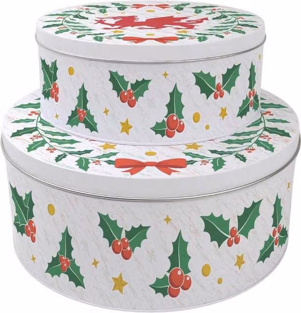 Purely Home Welsh Dragon Christmas Cake Tin Set, Round, Multicoloured