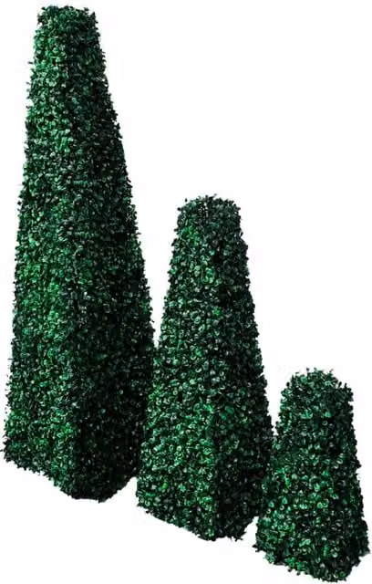 Berkfield Home Set of 3 Green Artificial Boxwood Pyramid Topiary Potted Tabletop Plants