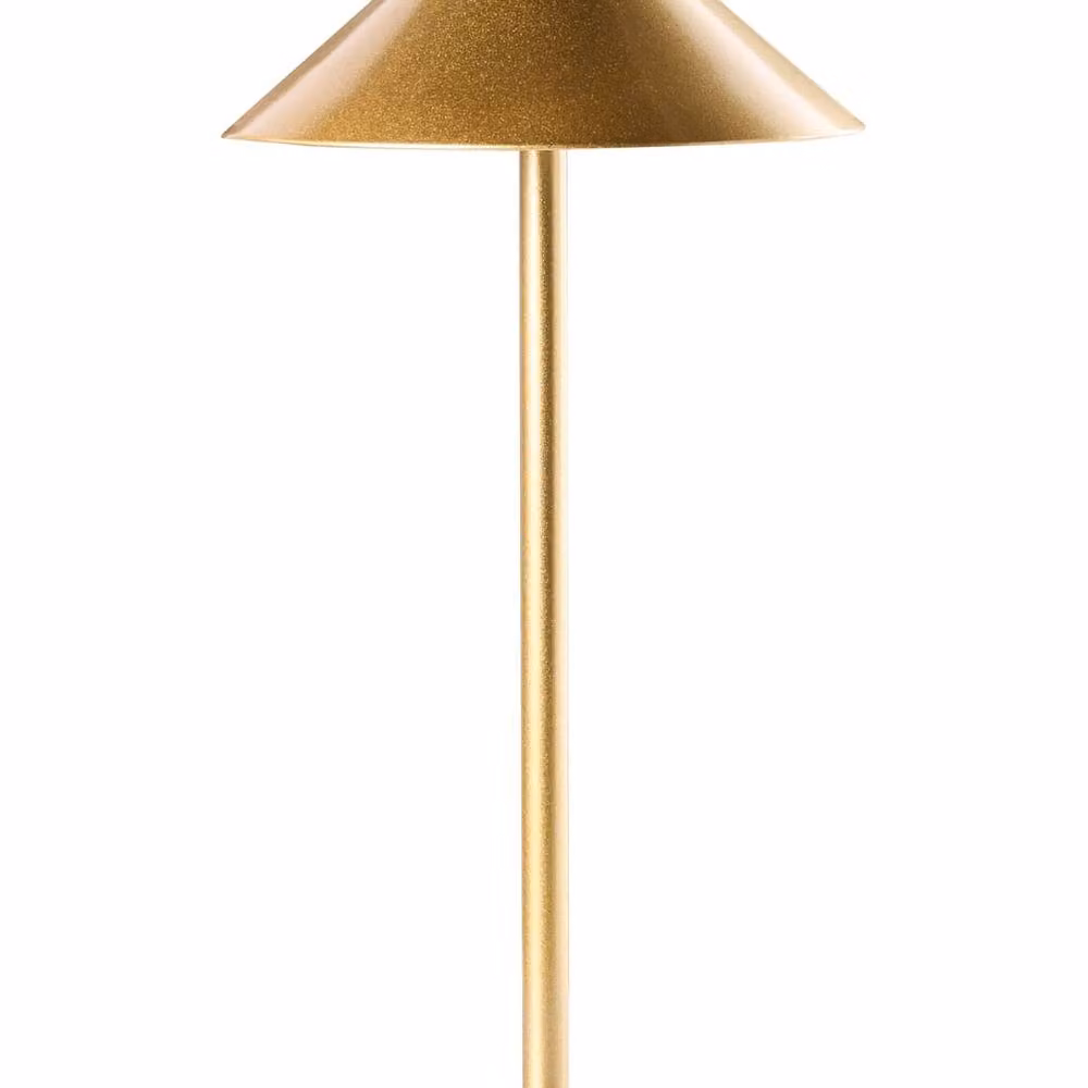 Wyld and Coco Rechargeable Dimmable Metal Table Lamp in Gold/Brass with USB-C Charging and Touch Control – 2