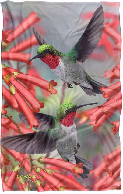 JQ Licensing Royce Mcclure Hummingbirds Silky Touch Super Soft Floral Throw Blanket, Multicolour, W/D/H: 91 x 147 cm – 6