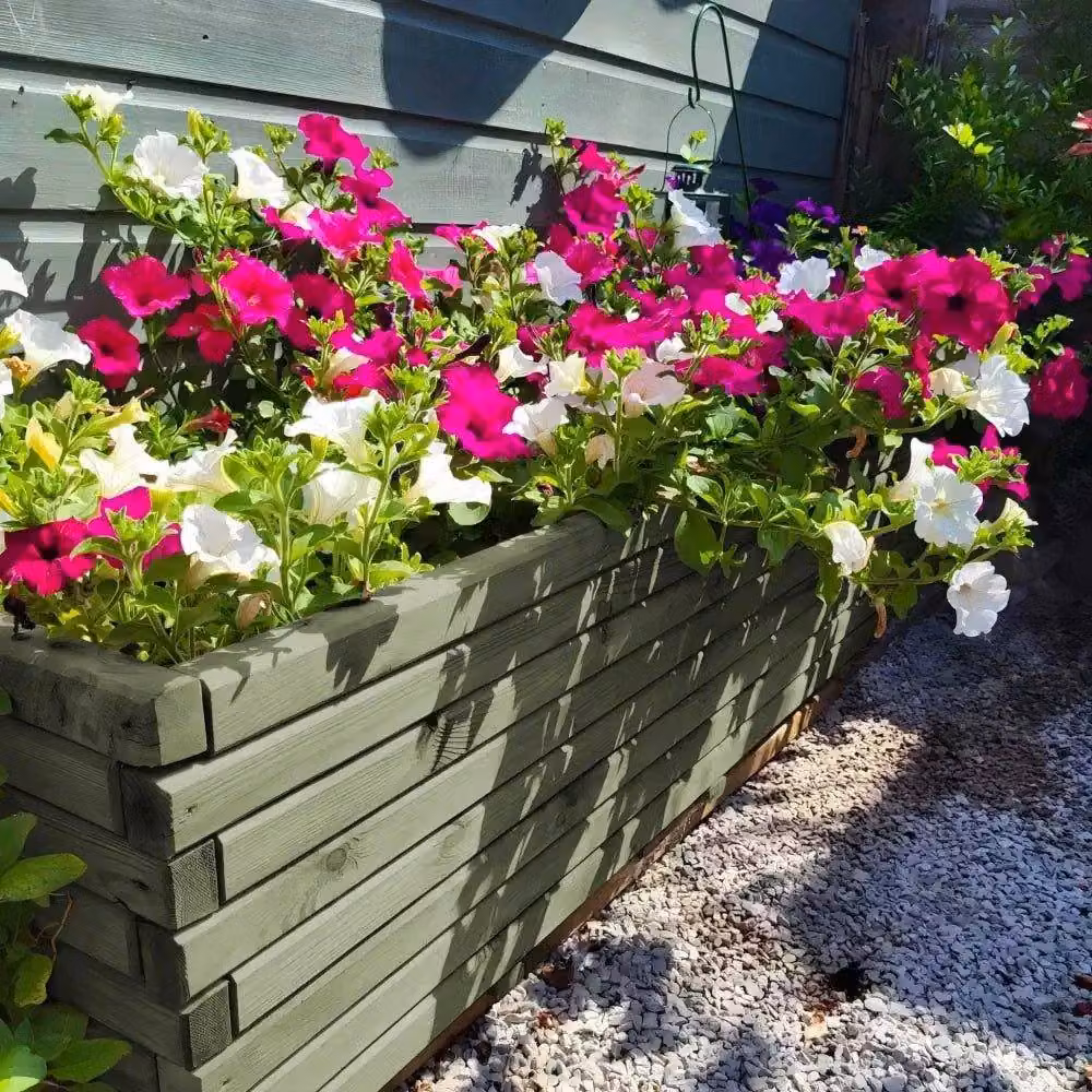 Access Garden Products Pine Raised Trough Planter in Green, W: 200 cm, D: 40 cm, H: 40 cm – 4
