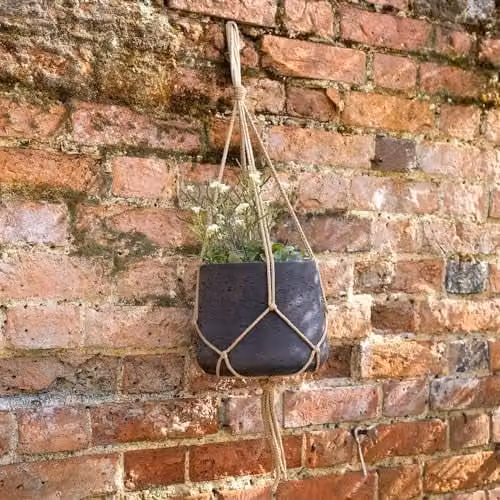 Primrose Brown Concrete Round Hanging Planter Pot for Wall or Ceiling – 2