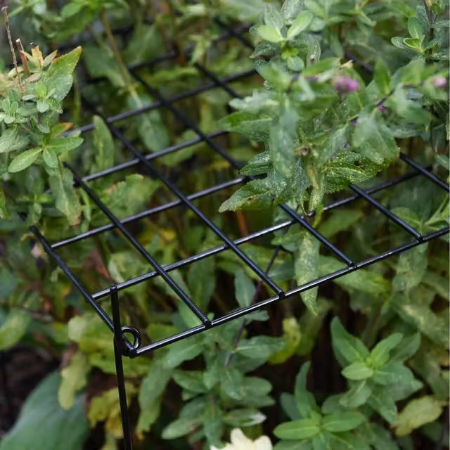 Garden Gear Metal Rectangle Grow Through Grid Trellis Support, Green and Black, Pack of 3
