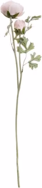 Hill Interiors Artificial Single Short Stem Ranunculus in Light Pink