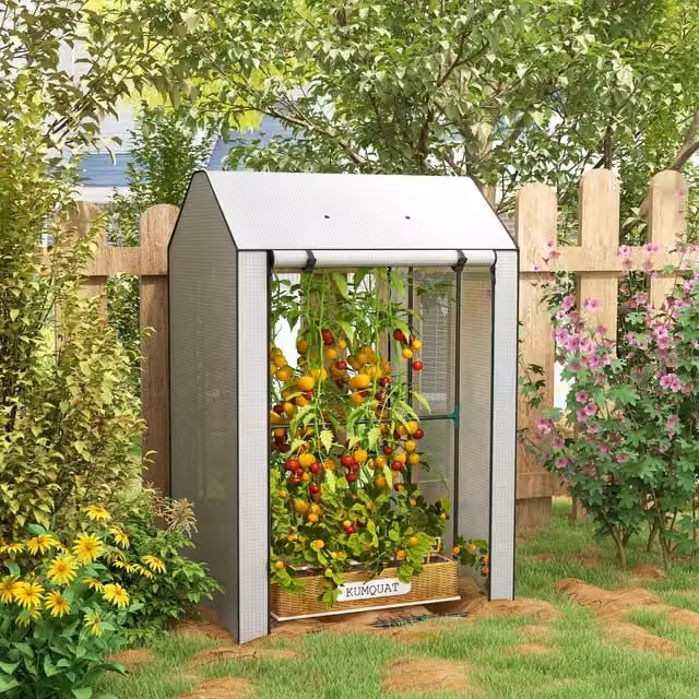 OUTSUNNY Mini Greenhouse with Shelves and Roll Up Door, White, W/D/H: 100 x 80 x 150 cm