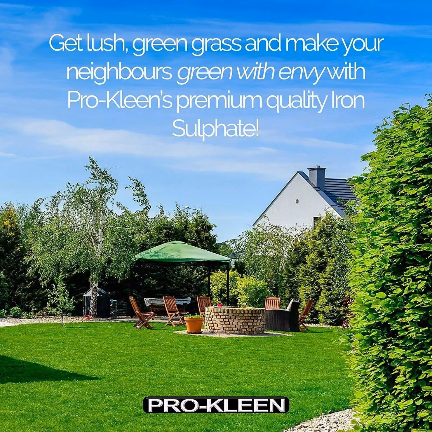 ProKleen Iron Sulphate Lawn Tonic Plant Feed, 2.5 kg – 4