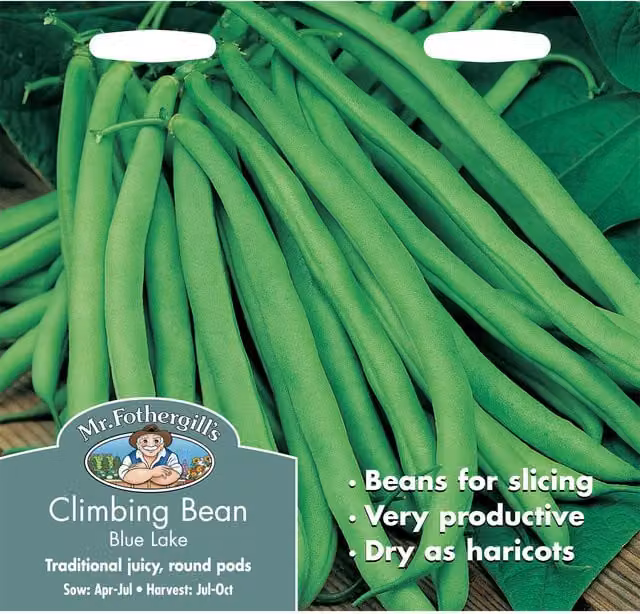 Mr Fothergill's Blue Lake Climbing French Bean Vegetable Seeds