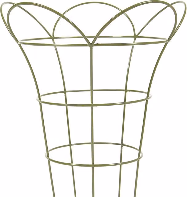Tom Chambers Steel Garden Plant Support Basket, Green, Medium Pack of 2
