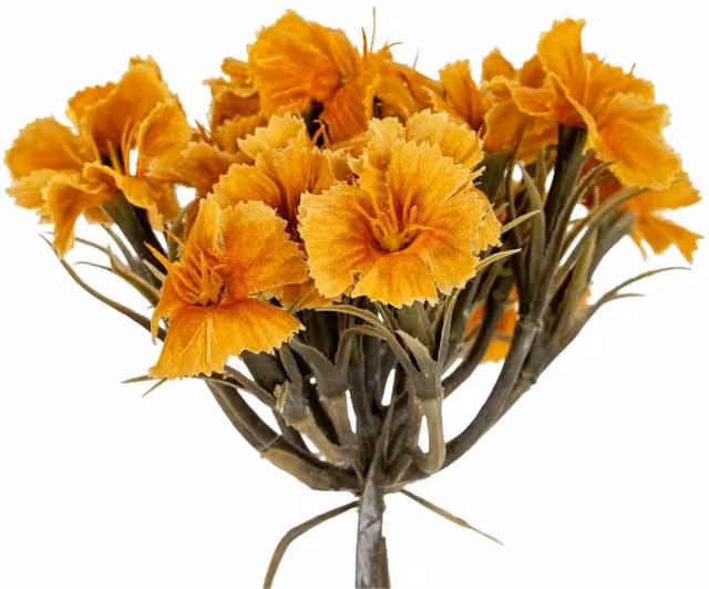Hill Interiors Dianthus Artificial Flower Spray in Orange – 1