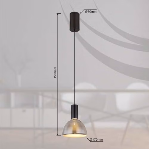Netlighting Labora Dome Pendant Light with Smoke Glass Shade and Black Metal Finish, Warm White LED 3000K, Diameter: 17 cm – 3