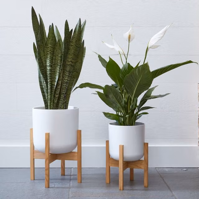 Ivyline Lisbon Ceramic Pot and Wood Stand, White, Diameter: 20.5 cm