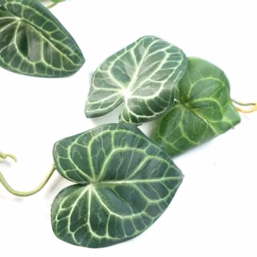 Leaf Green Artificial Hanging Rounded Ivy Plant, 100 cm – 3