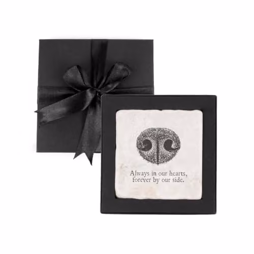 Zeller Present Cherished Dog Print Marble Coaster Gift Box in Black