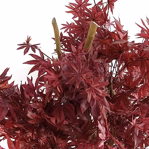 Realistic Red Maple Artificial Tree in Green and Red, Height: 120 cm – 3