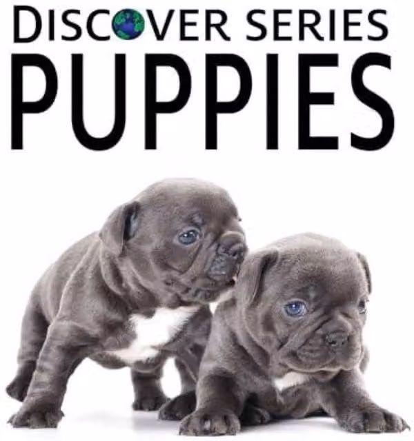 Xist Publishing Puppies Multicolour Hardcover Book