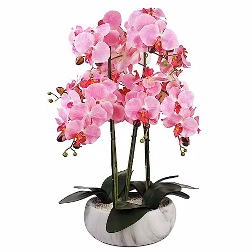 Leaf Design UK Pink Realistic Artificial Orchid Flower Display in a Round Ceramic Pot, H 60 cm x W 40 cm x D 40 cm