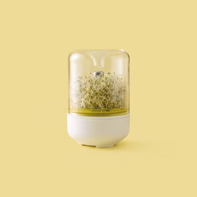 Chef'n Countertop Sprouter Growing Kit, White, Round Glass and Plastic