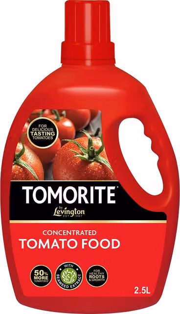 Levington Tomorite Concentrated Liquid Plant Food, 2.5 l, Red – 4
