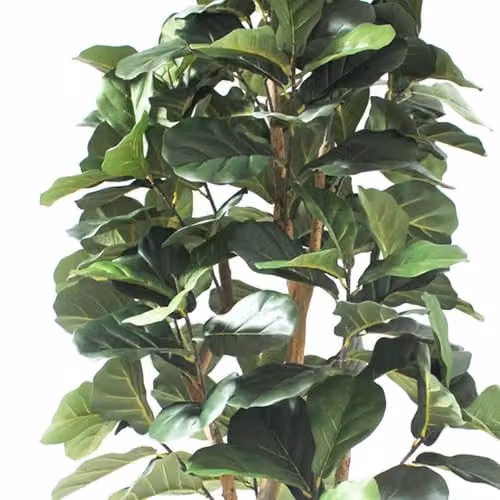 Leaf Design UK 180cm Artificial Fiddle Fig Deluxe Tree in Green with Black Plastic Pot – 5