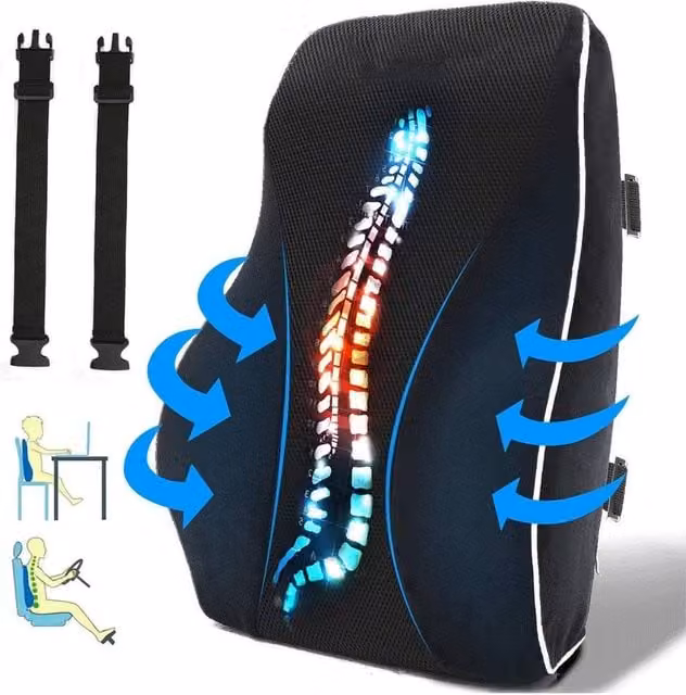 FLAVORA Memory Foam Lumbar Support Pillow in Black with Cotton Cover