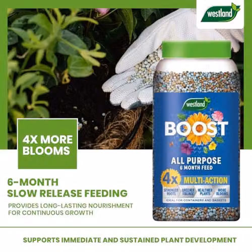 Westland Boost All Purpose Slow Release Plant Food, 750g – 6