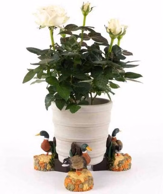 Jardinopia Coloured Mallard Duck Plant Pot Feet, Set of 3, Multicolour