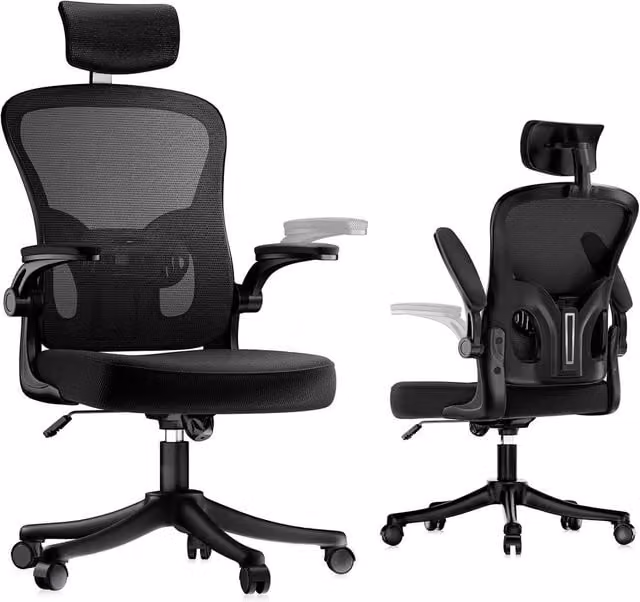 Gartistgo Ergonomic Mesh Office Chair in Black with Adjustable Headrest and Armrests