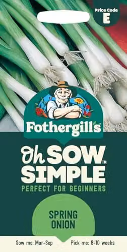 Fothergill's Oh Sow Simple Spring Onion Vegetable Seeds, Green and White – 1